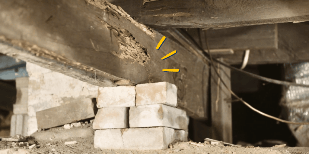 Crawl Space Damage From Termites