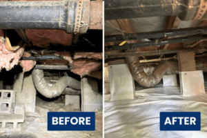 Clean up your crawlspace