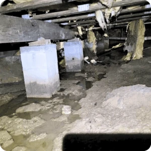 Seasonal Crawl Space Maintenance