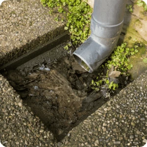 Seasonal Crawl Space Maintenance