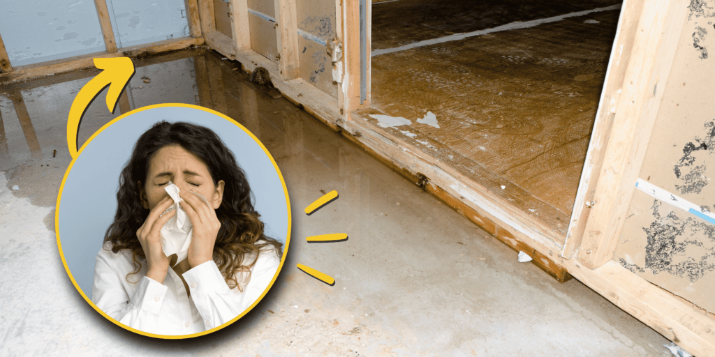 The Benefits of Crawl Space Encapsulation