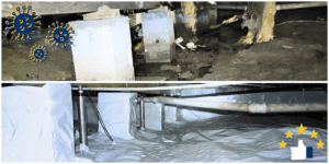 Reducing Mold Growth