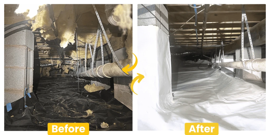 Transforming A Crawl Space