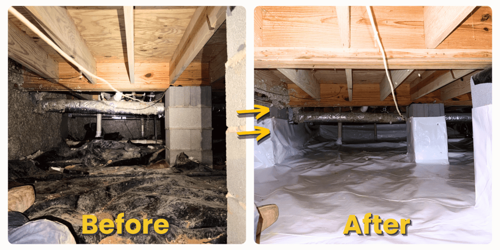 Encapsulation in College Grove Tennessee