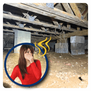 Crawl Space Smells Musty