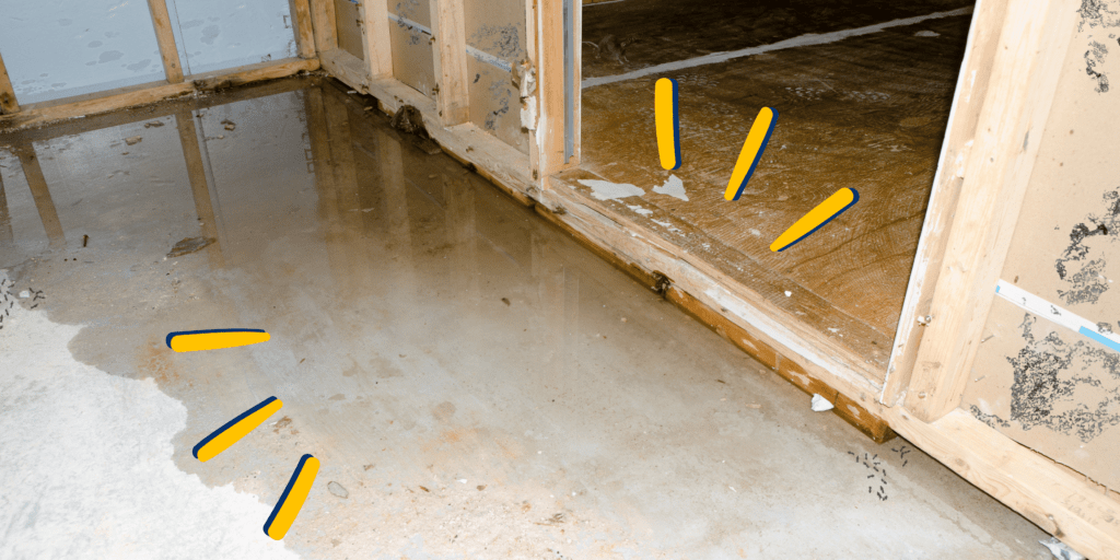 Moisture in The Crawl Space