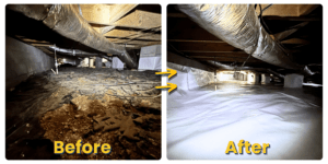 The Impact of Crawlspace Moisture