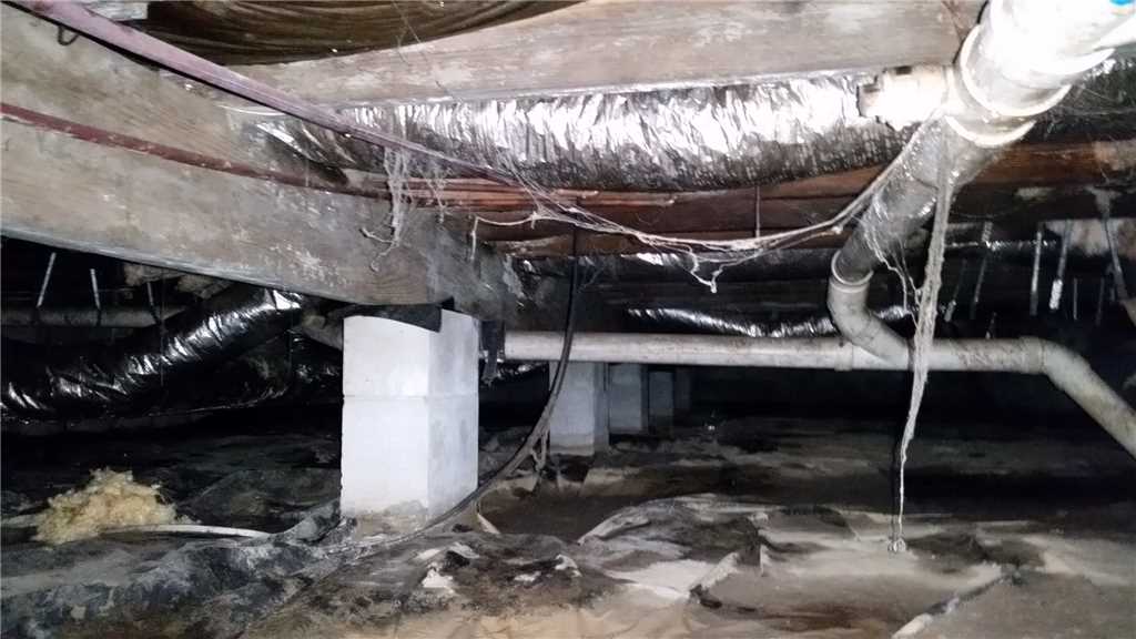 crawl space waterproofing