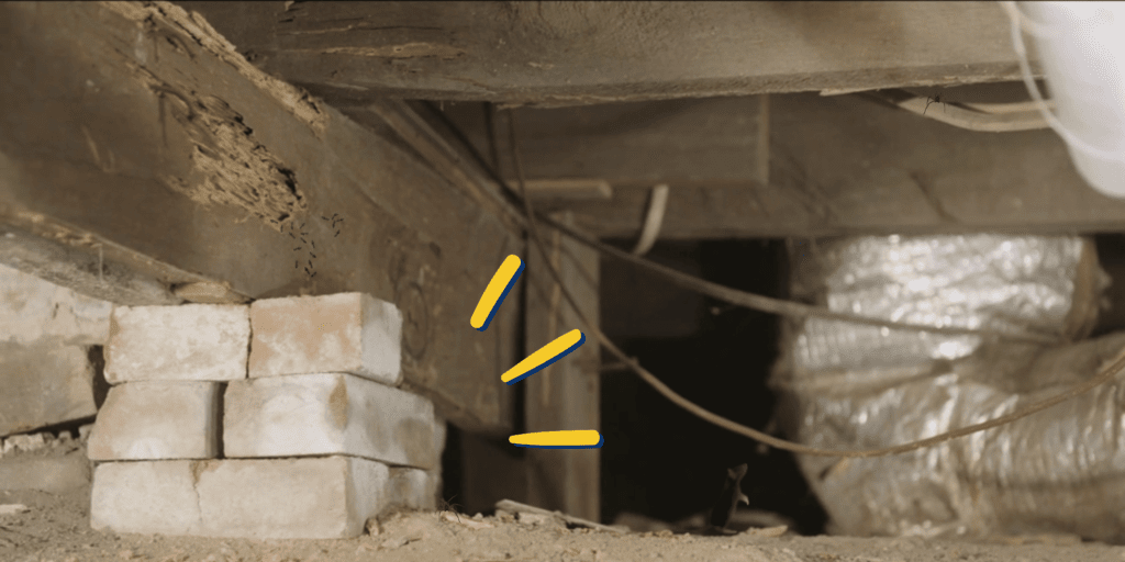 Encapsulation for Pest Prevention