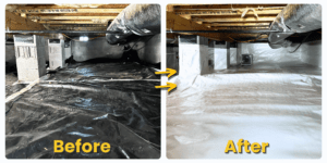 Encapsulation for Pest Prevention