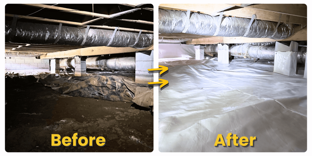 Crawl Space Encapsulation in Franklin