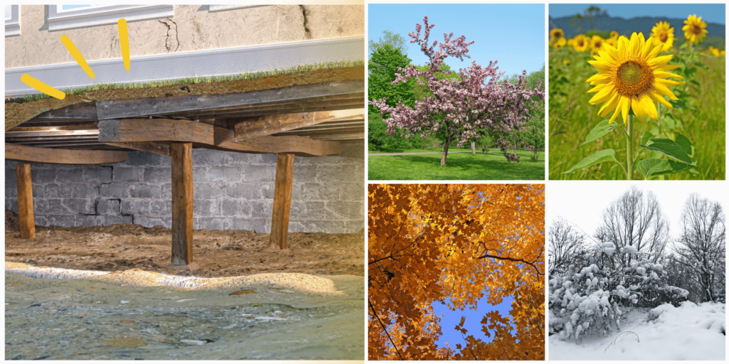 Seasonal Crawl Space Maintenance