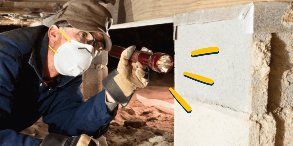 Why You Need a Crawl Space Inspection