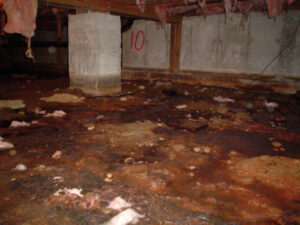 crawl-space-waterproofing-costs