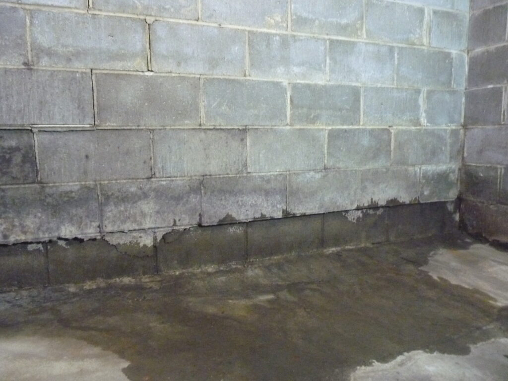 Basement Waterproofing Inspection