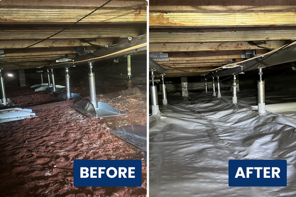 crawl space before and after