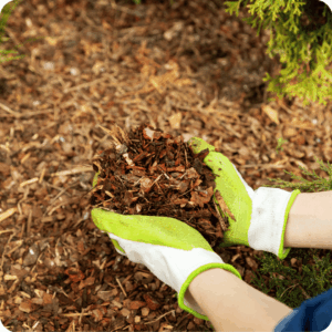 Landscaping To Protect Your Foundation