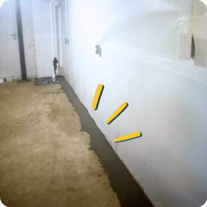 Expert Basement Waterproofing in Franklin