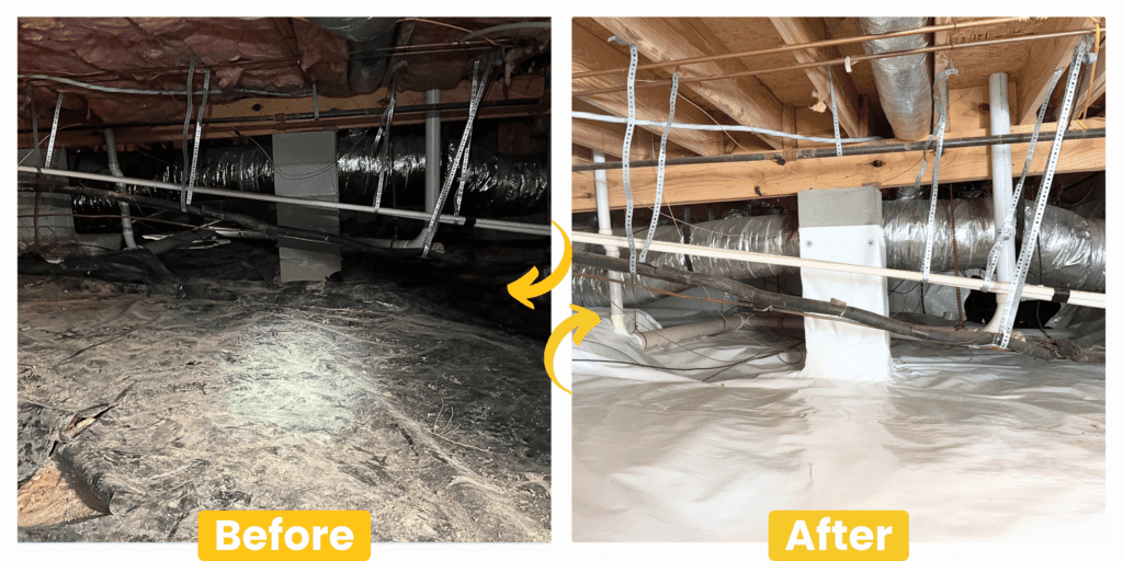 Musty Crawl Space