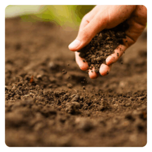 Foundation Repair in Nashville